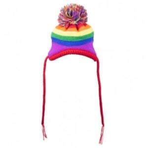 Rainbow stripe hat for dogs