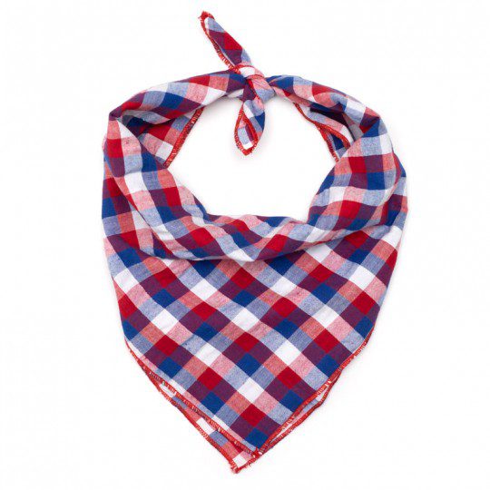 Red, white, and blue checkered bandana