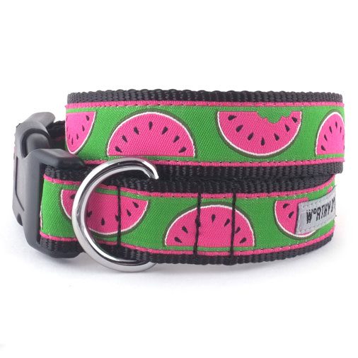 A watermelon dog collar with a black buckle.