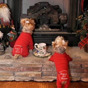 Two dogs in pajamas are sitting on a step.