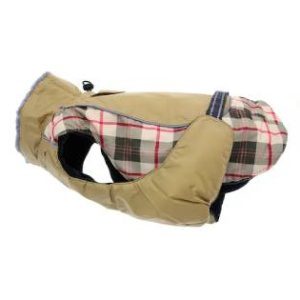 A dog wearing a jacket with plaid pattern.