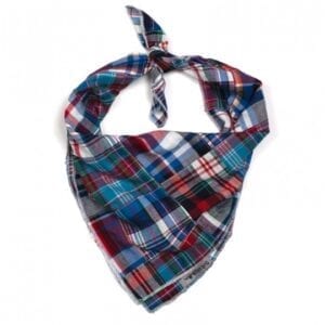 A blue, red and white plaid dog bandana.