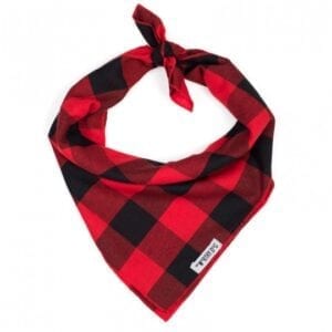 A red and black plaid dog bandana.