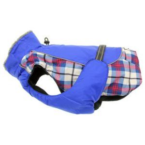 All weather royal blue and plaid coat for dogs