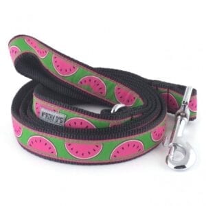 A pink and green leash with watermelon slices on it.