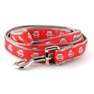 Dog leash decorated with monkey patches