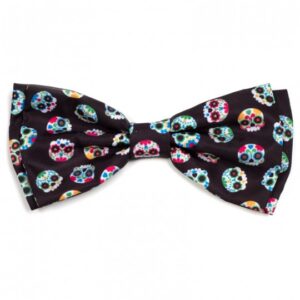 A bow tie with skulls on it.