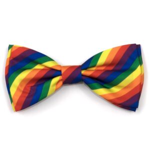 A bow tie with many colors of the same color.