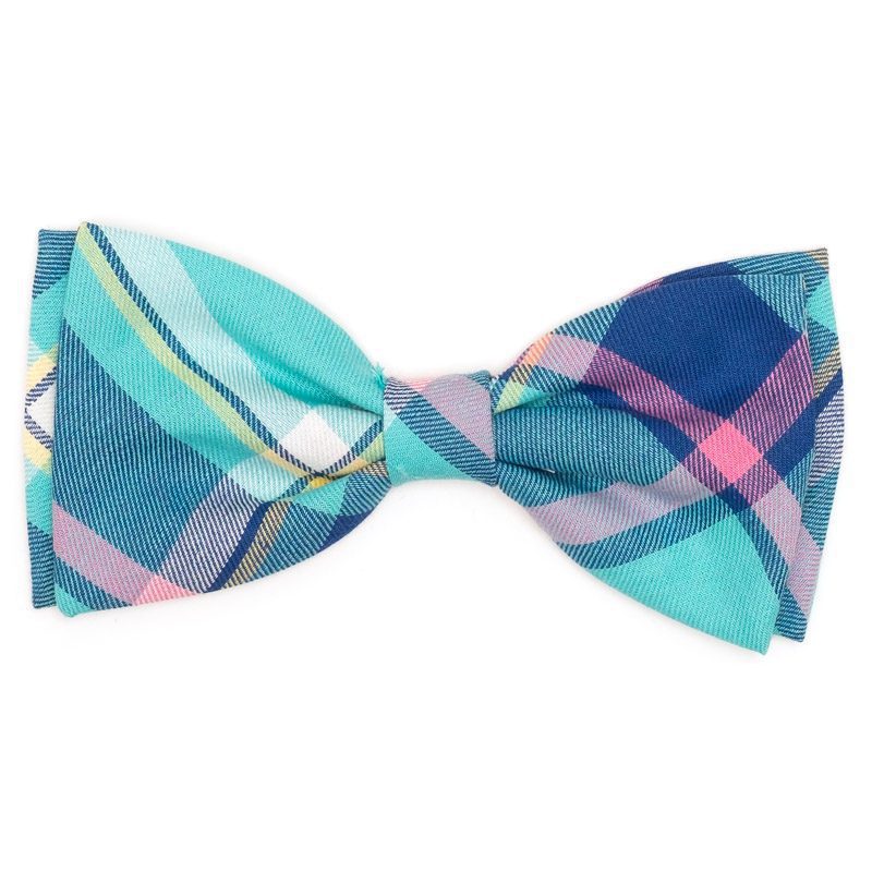 A bow tie with blue and pink plaid pattern.