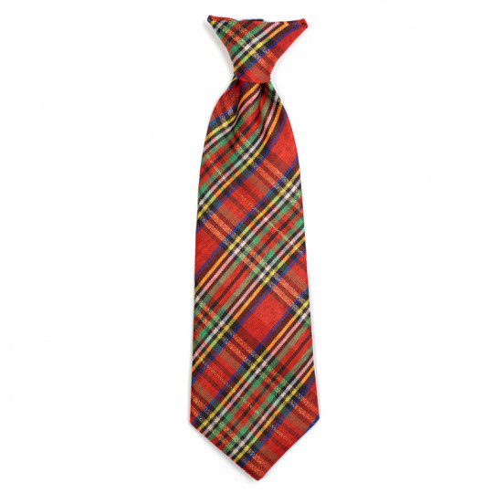 A red plaid tie is shown on a white background.