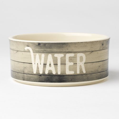 A bowl that says water on it.