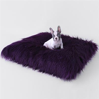 A dog laying on top of a purple pillow.