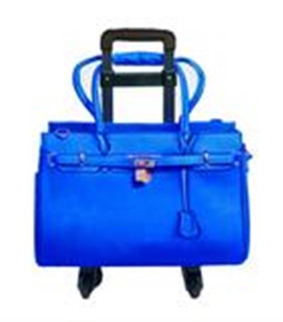 A blue bag is on wheels and has a handle.