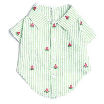 A shirt that has watermelon on it.