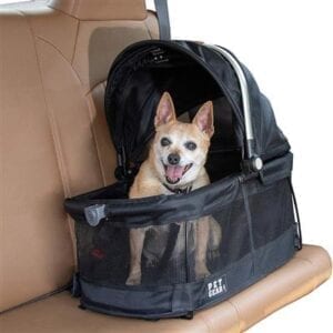 A dog sitting in the back of a car.