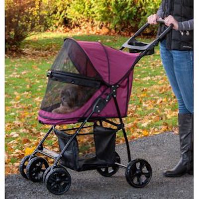 A person with a dog in a stroller