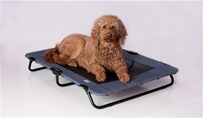 A dog laying on top of an elevated bed.