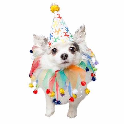 A dog wearing a clown hat and collar.
