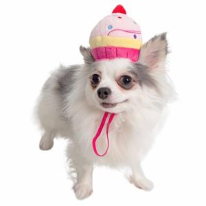 Pet Krewe’s pink cupcake hat