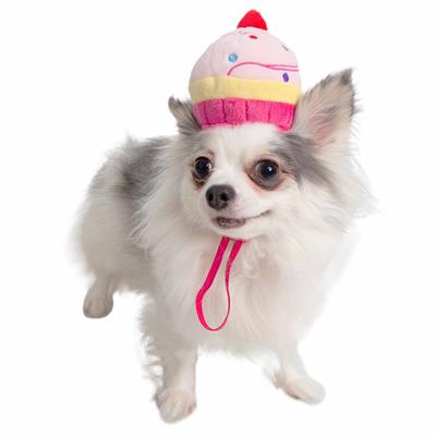 A dog wearing a cupcake hat on its head.