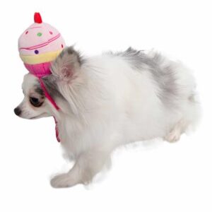 A small dog with a cupcake on its head.