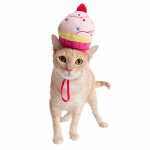 A cat wearing a cupcake hat on its head.