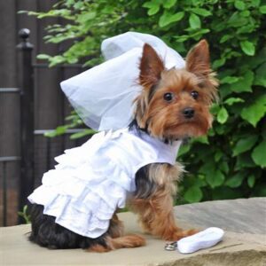 A small dog wearing a white dress and hat.