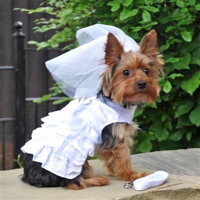 A small dog wearing a white dress and hat.