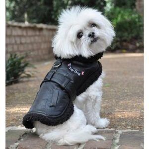 A small white dog wearing a black leather jacket.
