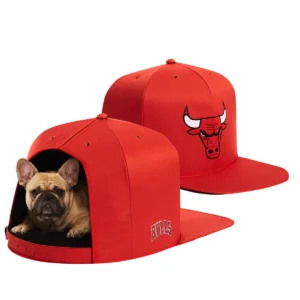 A dog in a chicago bulls hat