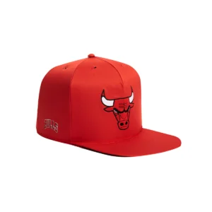 A red hat with a bulls logo on it.