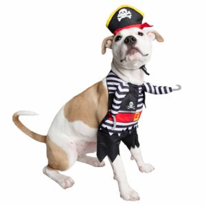 A dog wearing a pirate costume sitting on the ground.