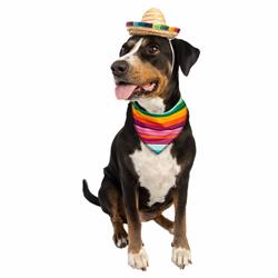 A dog wearing a sombrero and neck tie.